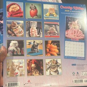 Cranky Kitties 2026 Calendar with Vibrant Colors